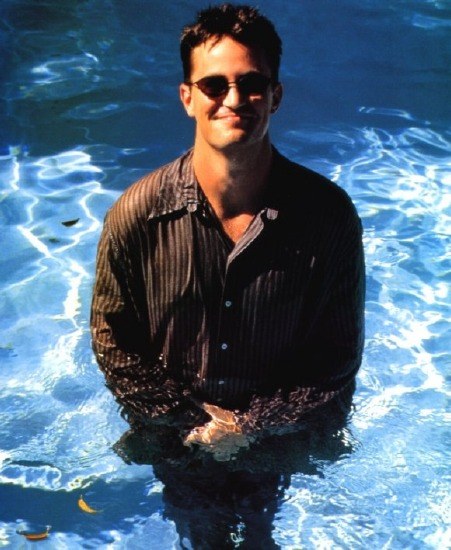 Matthew Perry Gay Male
