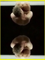 Ricky Martin nude photo