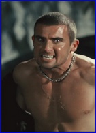 Dominic Purcell nude photo