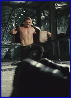 Dominic Purcell nude photo