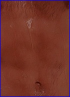 Eddie Cibrian nude photo