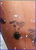 Josh Holloway nude photo