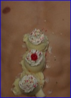 Christopher Gorham nude photo