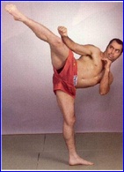 Joe Rogan nude photo