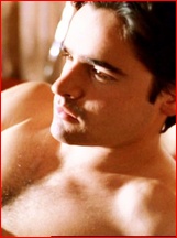 Jesse Bradford nude photo
