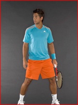 Fernando Verdasco nude photo