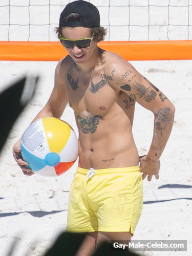 Harry Styles Sunbathing Shirtless